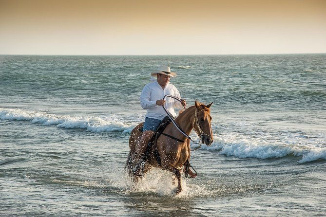 horseback-riding-tour-in-a-colombian-paso-fino-horse