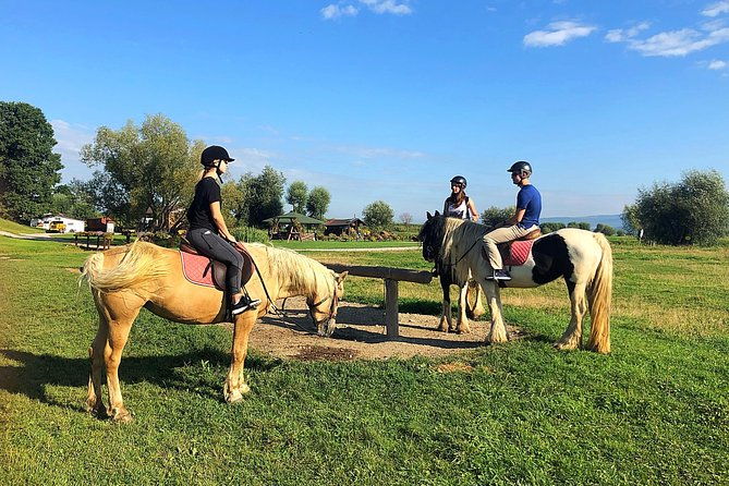 horseback-riding-tour-in-brasov-ride-through-fields-forests-hills
