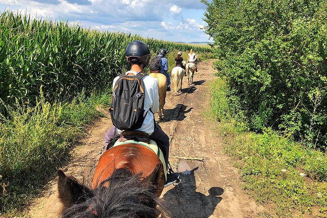 horseback-riding-tour-in-brasov-ride-through-fields-forests-hills