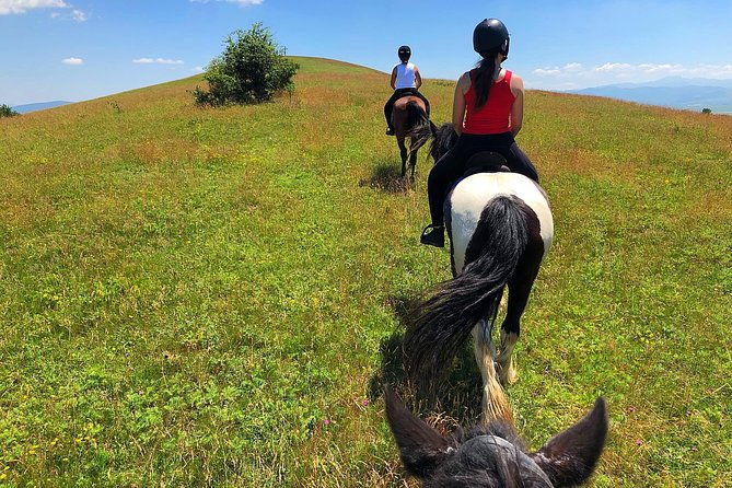 horseback-riding-tour-in-brasov-ride-through-fields-forests-hills