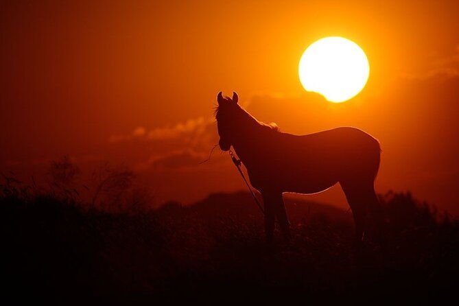 horseback-riding-tour-in-cappadocia-2-hour-include-transfer