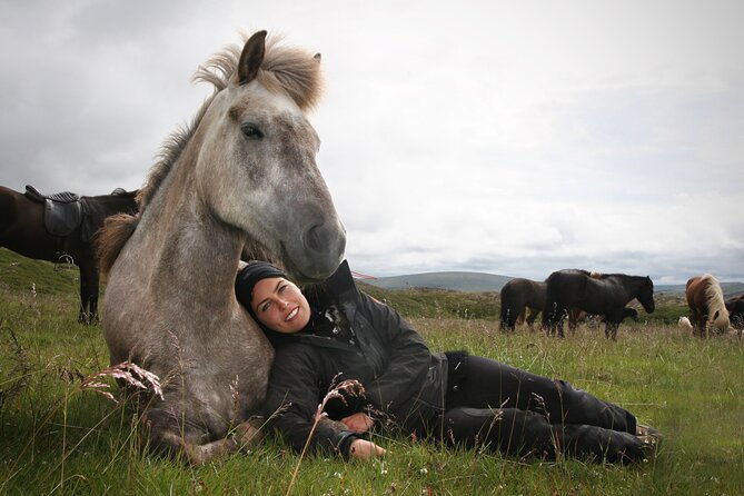 horseback-riding-tour-in-iceland
