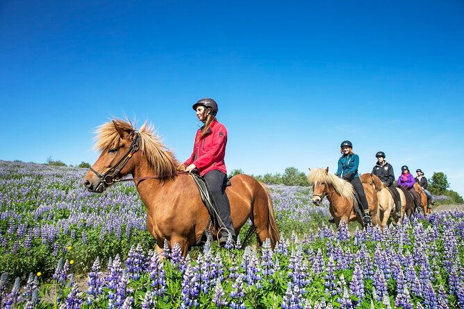 horseback-riding-tour-in-iceland