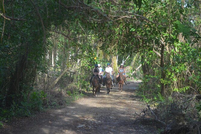 horseback-riding-tour-on-the-beaches-of-punta-cana
