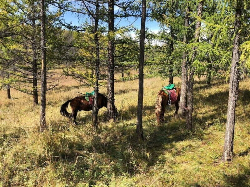 Horseback Riding Tour to Turtle Rock & Aryabal - Introduction