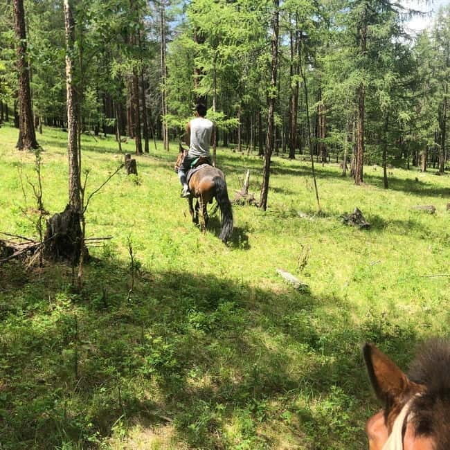 Horseback Riding Tour to Turtle Rock & Aryabal - Exploring the Details of the Horseback Riding Tour to Turtle Rock & Aryabal