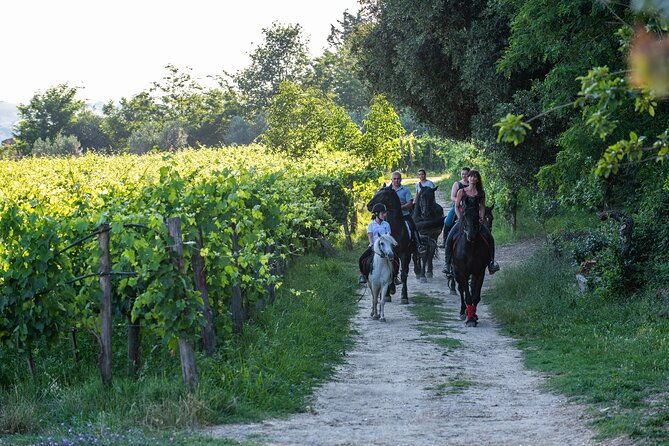 horseback-riding-tour-with-tuscan-picnic-in-val-dorcia-and-valdichiana
