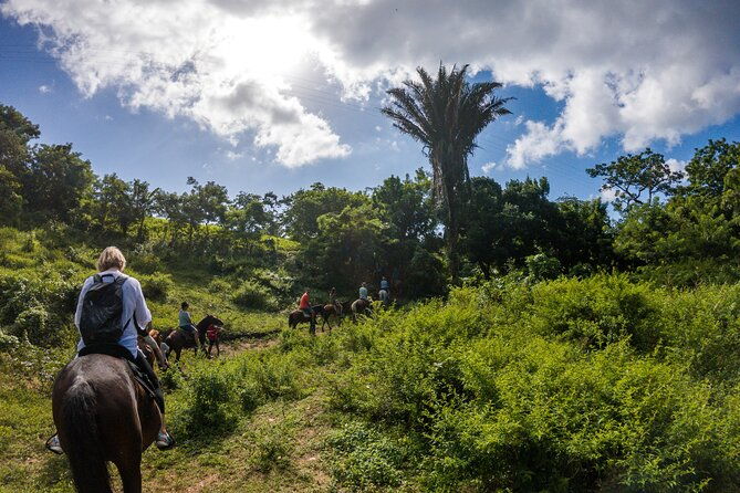 horseback-riding-trail-tour-roatan-letters-and-ocean-in-flowers-bay