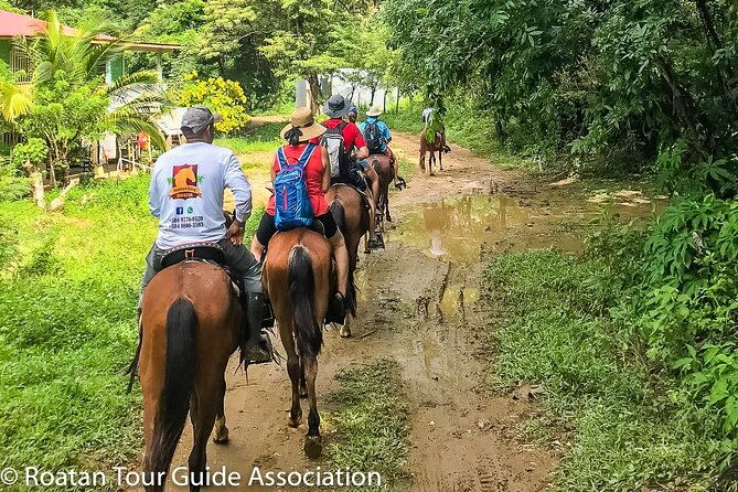 horseback-riding-trail-tour-roatan-letters-and-ocean-in-flowers-bay