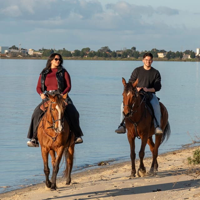 horseback-riding-trough-the-beach-group-pdt