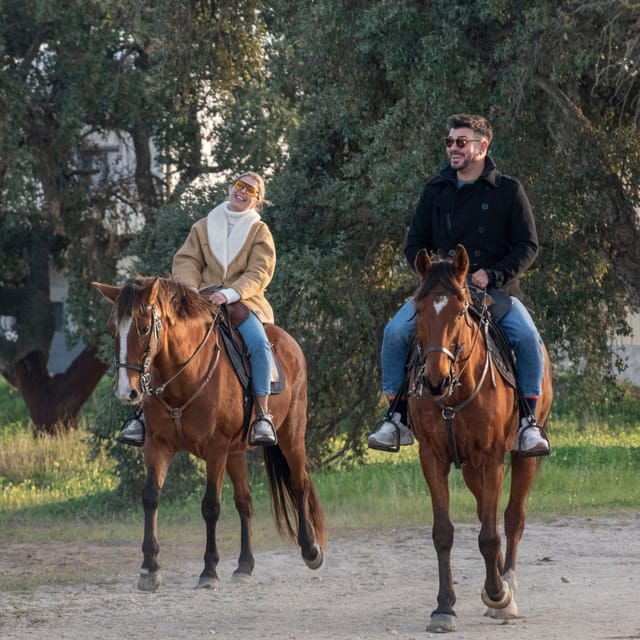 horseback-riding-trough-the-beach-group-pdt