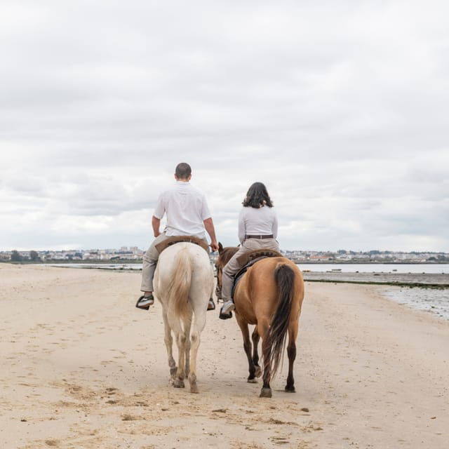 horseback-riding-trough-the-beach-group-pdt