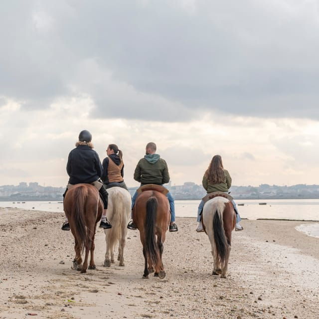 horseback-riding-trough-the-beach-group-pdt