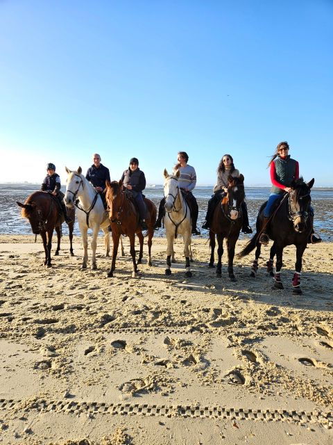 horseback-riding-trough-the-beach-group-pdt