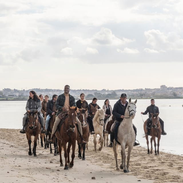 horseback-riding-trough-the-beach-group-pdt