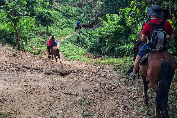 horseback-riding-west-end-choco-factory-west-bay-day-pass-paradise-beach