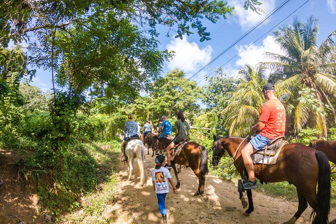 horseback-riding-west-end-choco-factory-west-bay-day-pass-paradise-beach