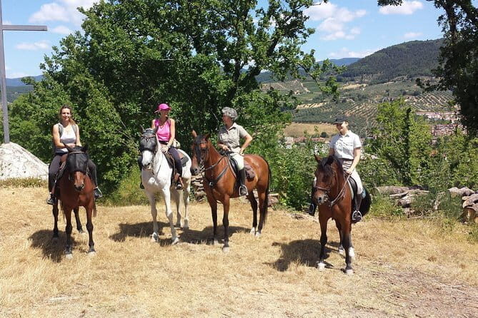 Horseback riding & Wine Tasting and snack Lunch at noble Estate - The Itinerary: A Day in the Tuscan Countryside