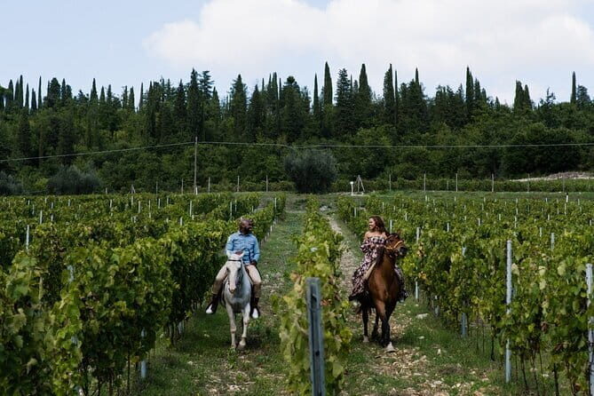 Horseback riding & Wine Tasting and snack Lunch at noble Estate - Practical Information