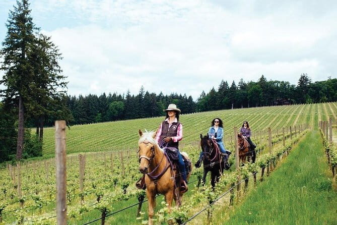 Horseback riding & Wine Tasting and snack Lunch at noble Estate - The Sum Up: Who Should Consider This Tour?