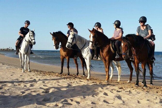 Horseback Riding with Pickup and Drop-off from Sharm El Sheikh - An In-Depth Look at the Horseback Riding Tour