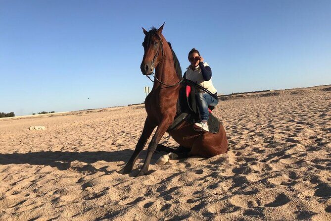 Horseback Riding with Pickup and Drop-off from Sharm El Sheikh - Final Thoughts
