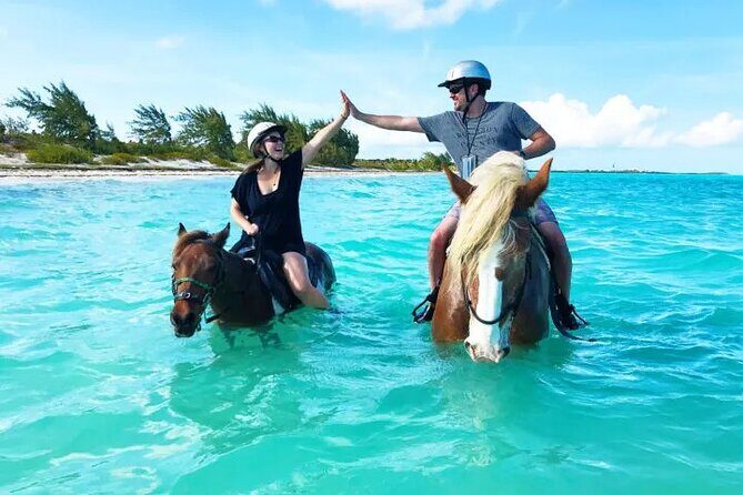 Horseback Riding with Pickup and Drop-off from Sharm El Sheikh - FAQ