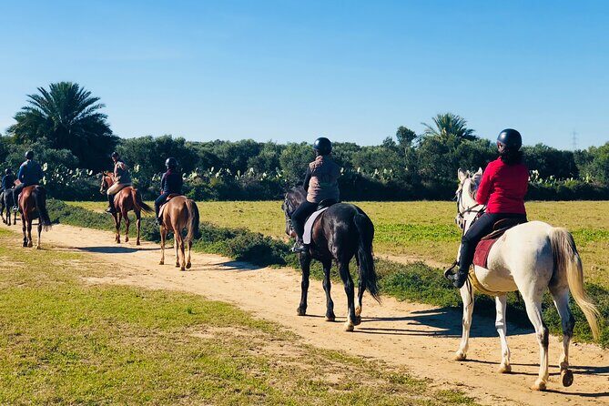 Horseback riding with private transfer - The Experience: What You Can Expect