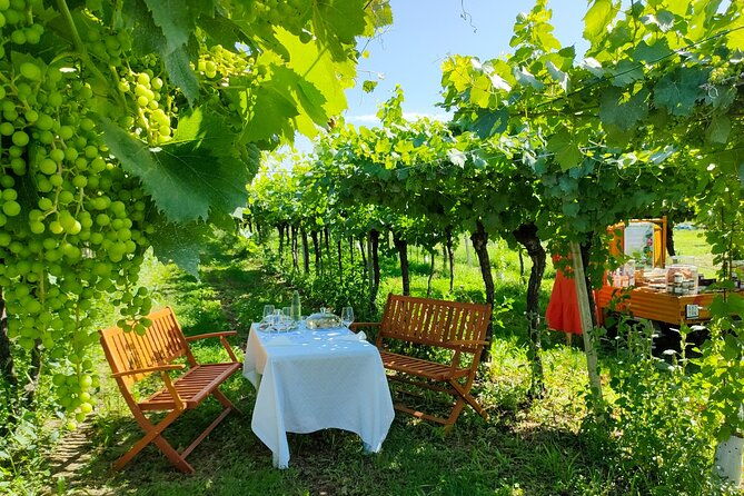 horseback-riding-with-wine-and-food-tasting-in-lazise-countryside