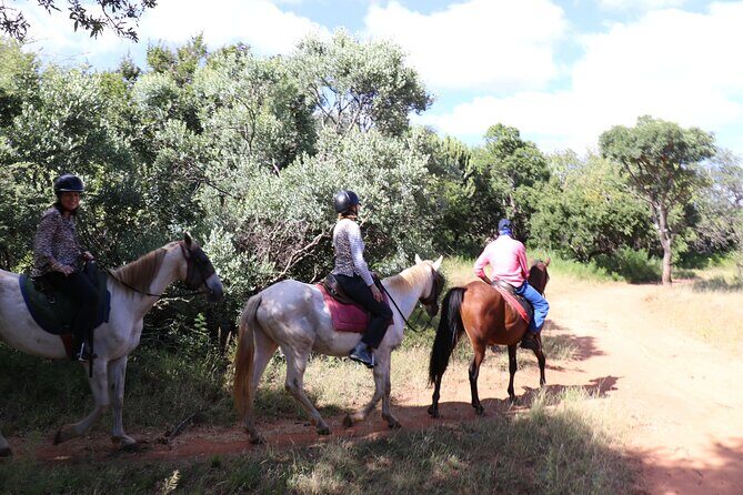Horseback Safari Adventure in Hartbeespoort from Johannesburg - Final Thoughts