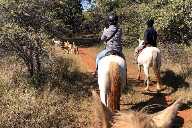 Horseback Safari & Cable Car Ride from Johannesburg - What’s Included and What’s Not