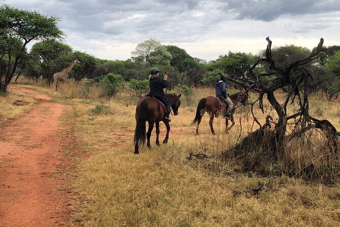 Horseback Safari & Cable Car Ride from Johannesburg - The Experience and Duration