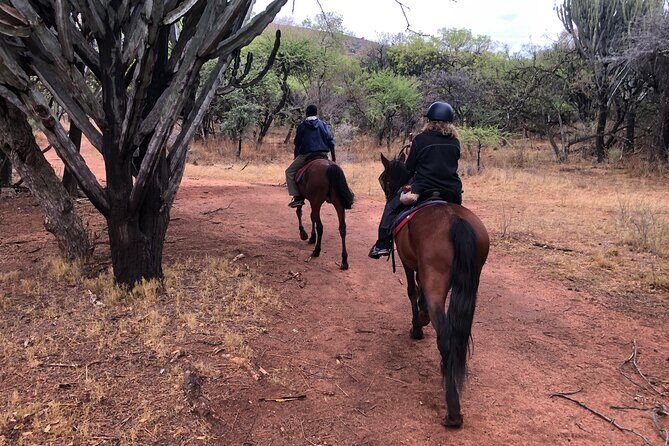 Horseback Safari & Cable Car Ride from Johannesburg - FAQ