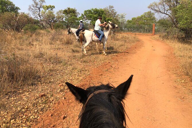 Horseback Safari & Cable Car Ride from Johannesburg - Final Thoughts