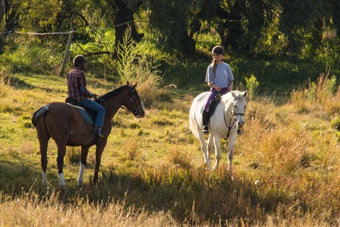 Horseback Small-Group Trail Rides in Muldersdrift - Key Points