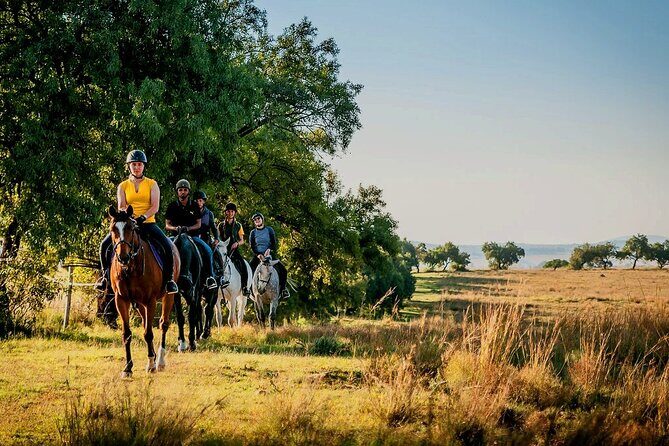 Horseback Small-Group Trail Rides in Muldersdrift - The Authentic Experience