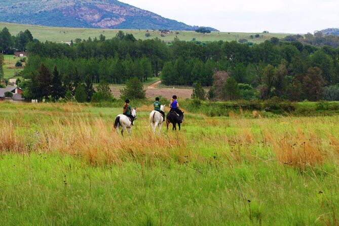 Horseback Small-Group Trail Rides in Muldersdrift - Practical Details for Planning Your Ride