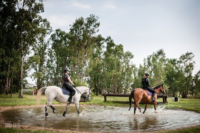 Horseback Small-Group Trail Rides in Muldersdrift - FAQ