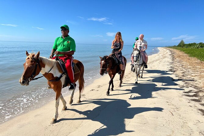 horseback-special-negrils-beach-ride-n-swim-with-free-photos-videos