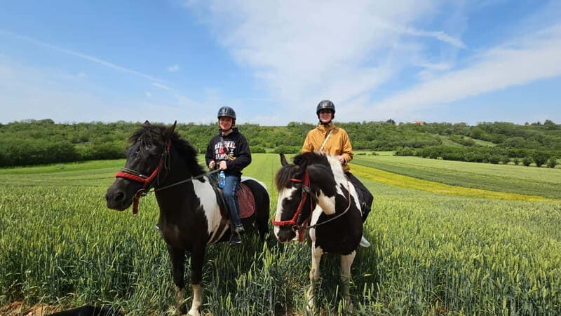 Horseback Trail Riding and Hiking - Day Trip from Belgrade - Final Thoughts