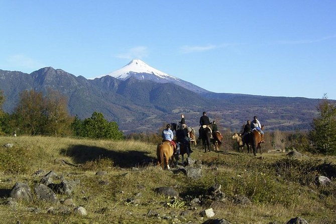 horseback-trailride-excursion