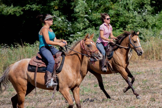 horsemanship-experience