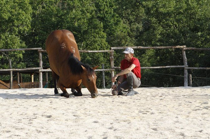 horsemanship-experience