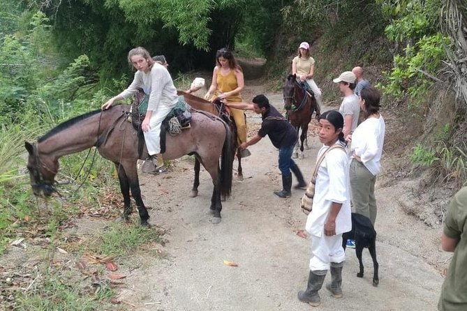 horses-to-the-sacred-ancestral-stone-mama-duwanaby