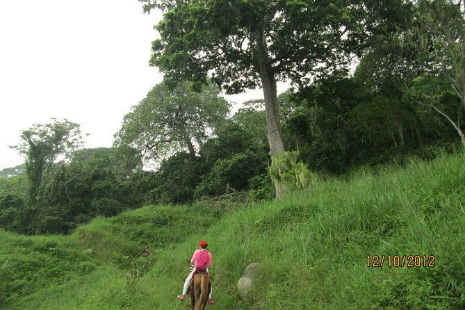 horses-to-the-sacred-ancestral-stone-mama-duwanaby