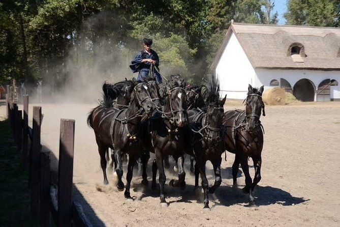 horseshow-on-the-hungarian-puszta-private-tour-from-budapest-with-entry