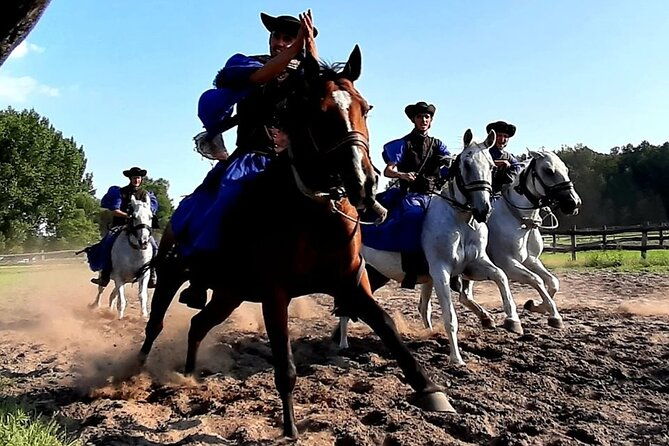horseshow-on-the-hungarian-puszta-private-tour-from-budapest-with-entry