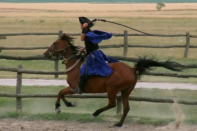 horseshow-on-the-hungarian-puszta-private-tour-from-budapest-with-entry