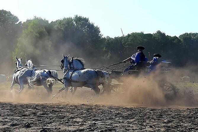 horseshow-on-the-hungarian-puszta-private-tour-from-budapest-with-entry