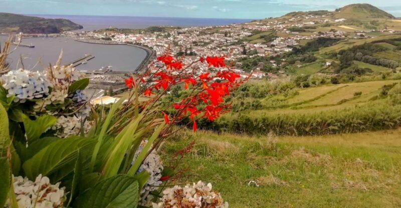 horta-faial-island-half-day-tour